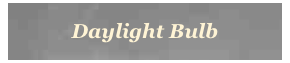 Daylight Bulb