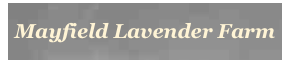 Mayfield Lavender Farm