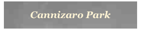 Cannizaro Park